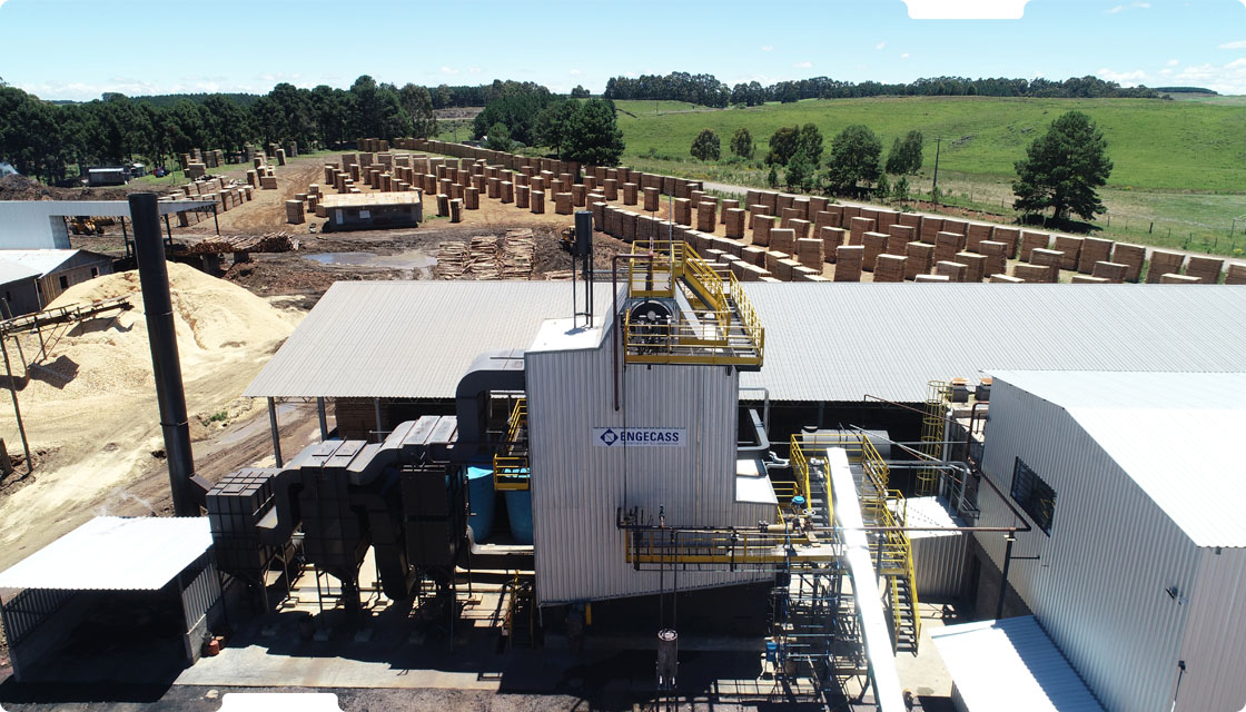 Cogeração de energia com caldeira a biomassa Cogeração de energia com caldeira a biomassa