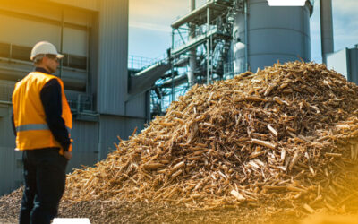 Cogeração de energia com biomassa: transforme resíduos em energia útil