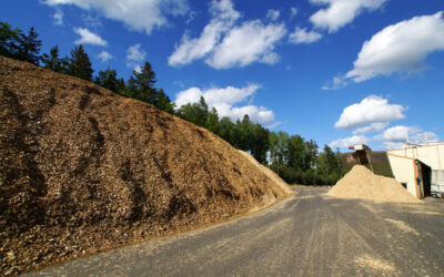Caldeira a biomassa: Mais economia e sustentabilidade ambiental
