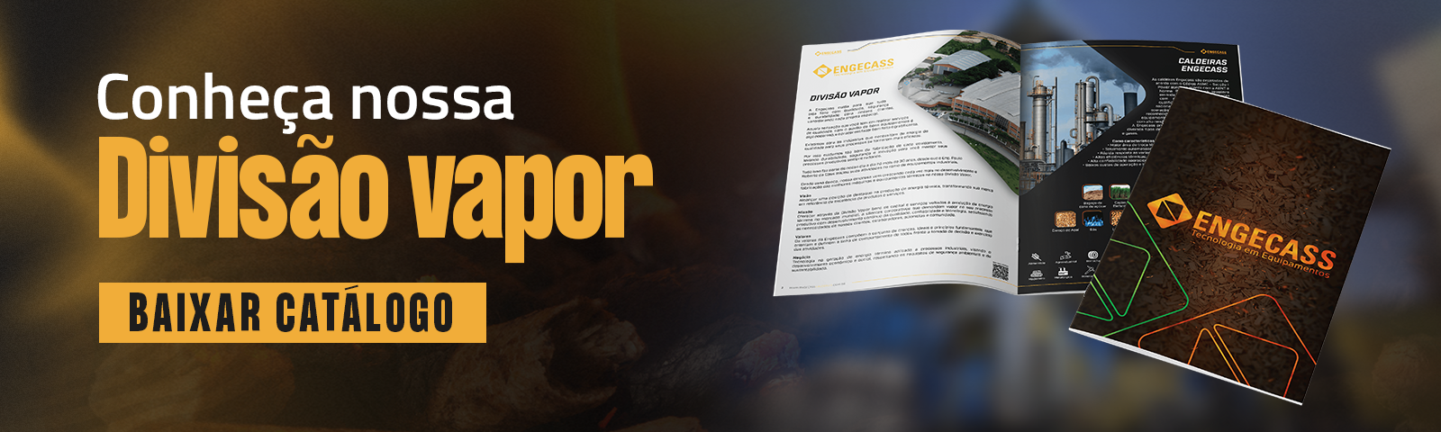 Acesse o catálogo da divisão vapor Acesse o catálogo da divisão vapor